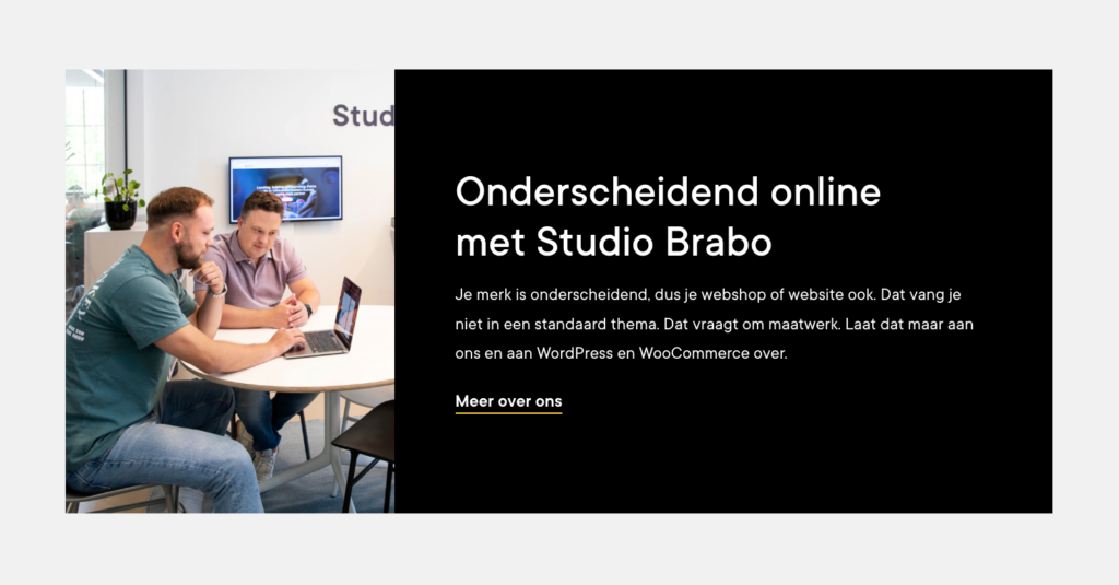 Studio Brabo webtekst home